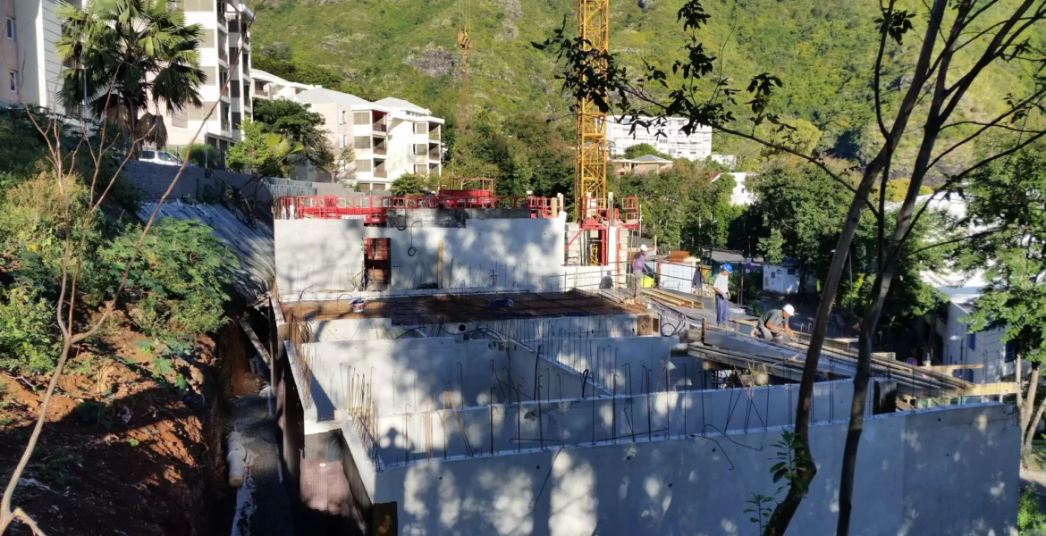 2017 OPC DOM OLIVINES 2