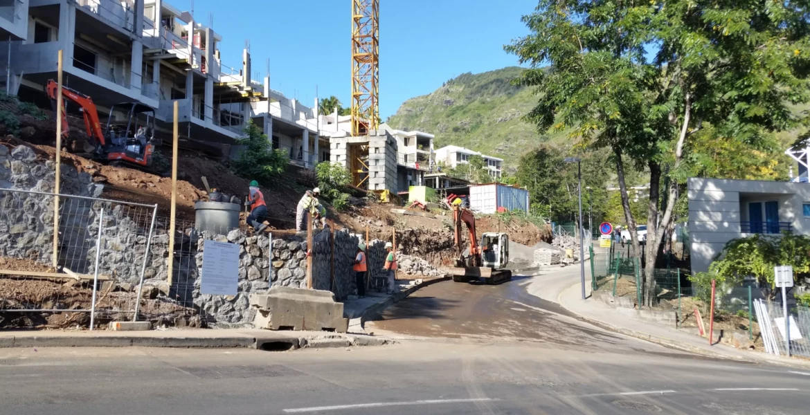 2017 OPC DOM OLIVINES 3