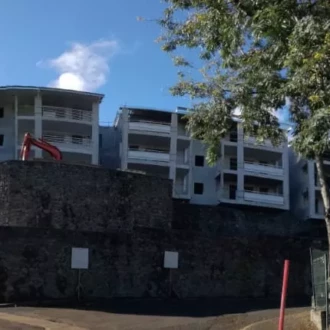 2017 OPC DOM OLIVINES 4